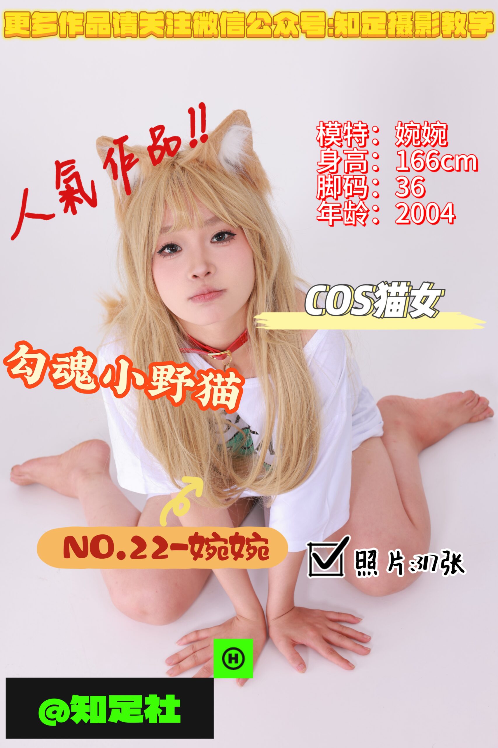 第22期-婉婉-勾魂小野猫，你能带我回家吗！[317张图片]-已完结