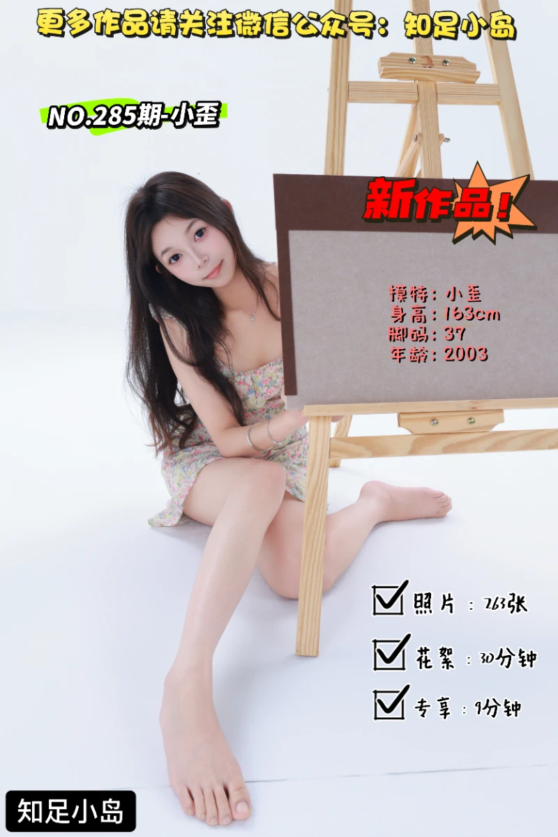 第285期-小歪-大艺术家·新人报道[263张图片+39分钟视频]-已完结