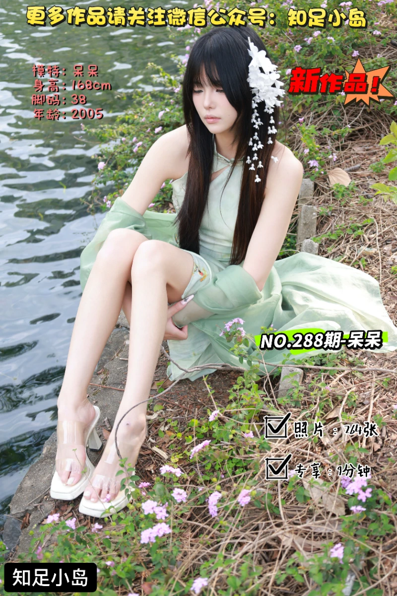 第288期-呆呆-旗袍·沉鱼落雁[264张图片+9分钟视频]-已完结